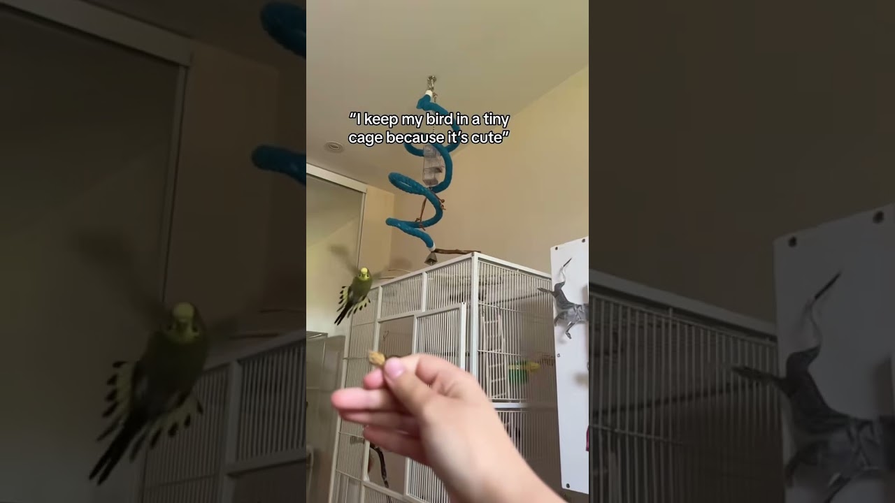 Small cages are cruel.  