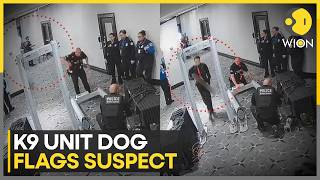 White House Shooting: K9 Dog Warning Ignored? New Footage Shows Detail | WION