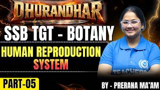 Odisha SSB TGT BIOLOGY HUMAN REPRODUCTION SYSTEM PART-5 | Latest Exam Pattern & Important Questions