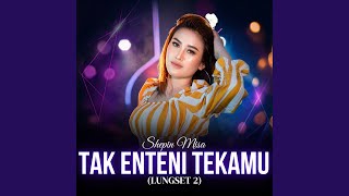 Tak Enteni Tekamu (Lungset 2)