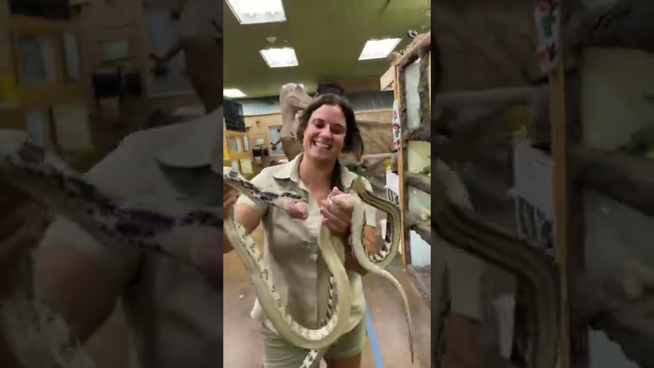 A Snakes Idea Of Fast Food 😂 