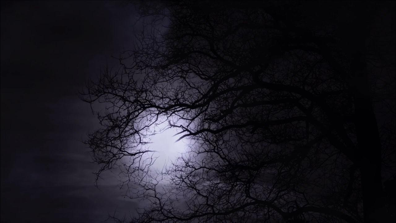 Spooky Horror Sounds | 10 Hours of Scary Music | Perfect for Halloween or Scary Events Spooky Horror Sounds | 10 Hours of Scary Music | Perfect for Halloween or Scary Events