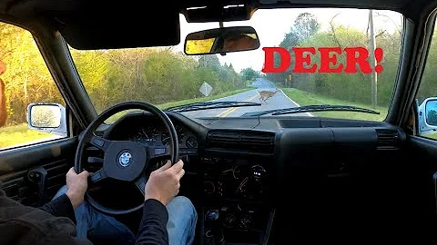I almost hit a deer on my first drive in my turbocharged e30!!