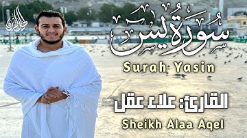 سورة يس كاملة بصوت القارئ علاء عقل | Surah yasin full by Sheikh Alaa Aqel@alaaaqel54