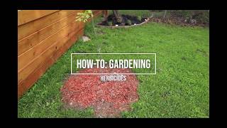 How-To: Mix KILLZALL Weed and Grass Killer