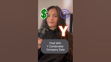 Chat With Y Combinator Data: camelAI | AI Data Analyst