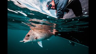 Fishing Nambucca Heads with Liam Williams in his AMM console