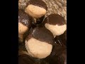 Keto Coconut and Almond Cookies Recipe - Ketogenic Diet - Tips for a typical keto day
