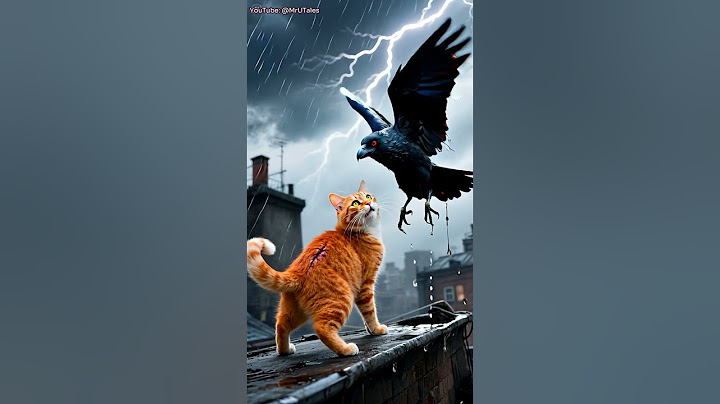 🐦Who would have thought that cat was the one who saved the baby bird? #cat #cute #shorts #ai