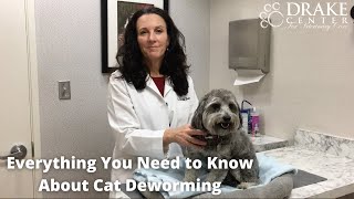Everything You Need to Know About Cat Deworming