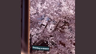 Something In-Between