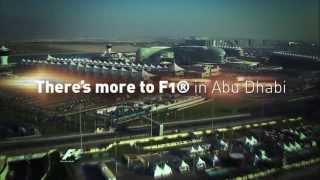 2013 F1 ETIHAD AIRWAYS ABU DHABI GRAND PRIX