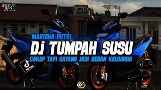 DJ TUMPAH SUSUNYA X MELODY ULAR SAWAH || DJ ALVISENA RMX feat NAUFAL AKBAR