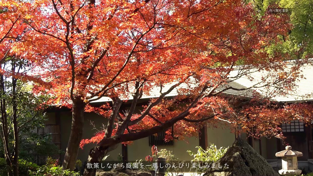 徳川園 愛知 22年紅葉ライトアップ 見頃情報 Amatavi