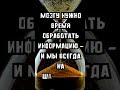 5 фактов, которые взорвут твой мозг 🤯 #факты #интересное #shorts #наука #хочуфакты