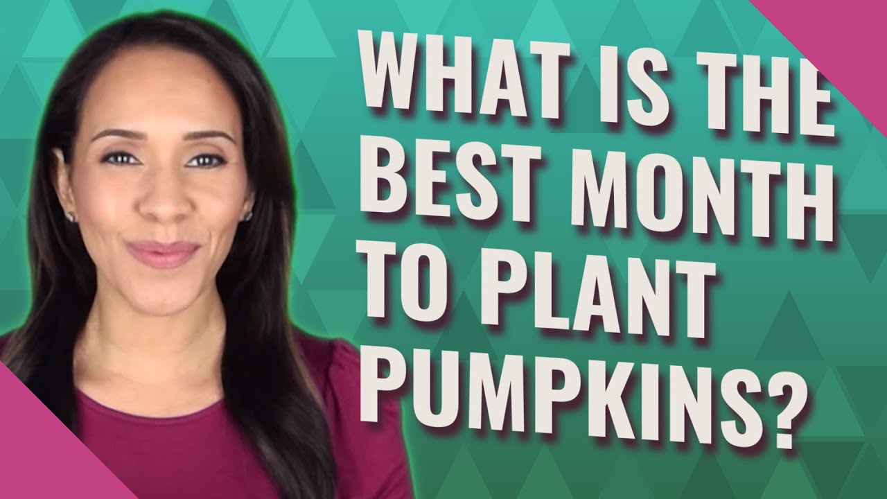 What is the best month to plant pumpkins? - YouTube