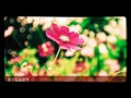 中孝介 花 歌ってみた (ショートver)