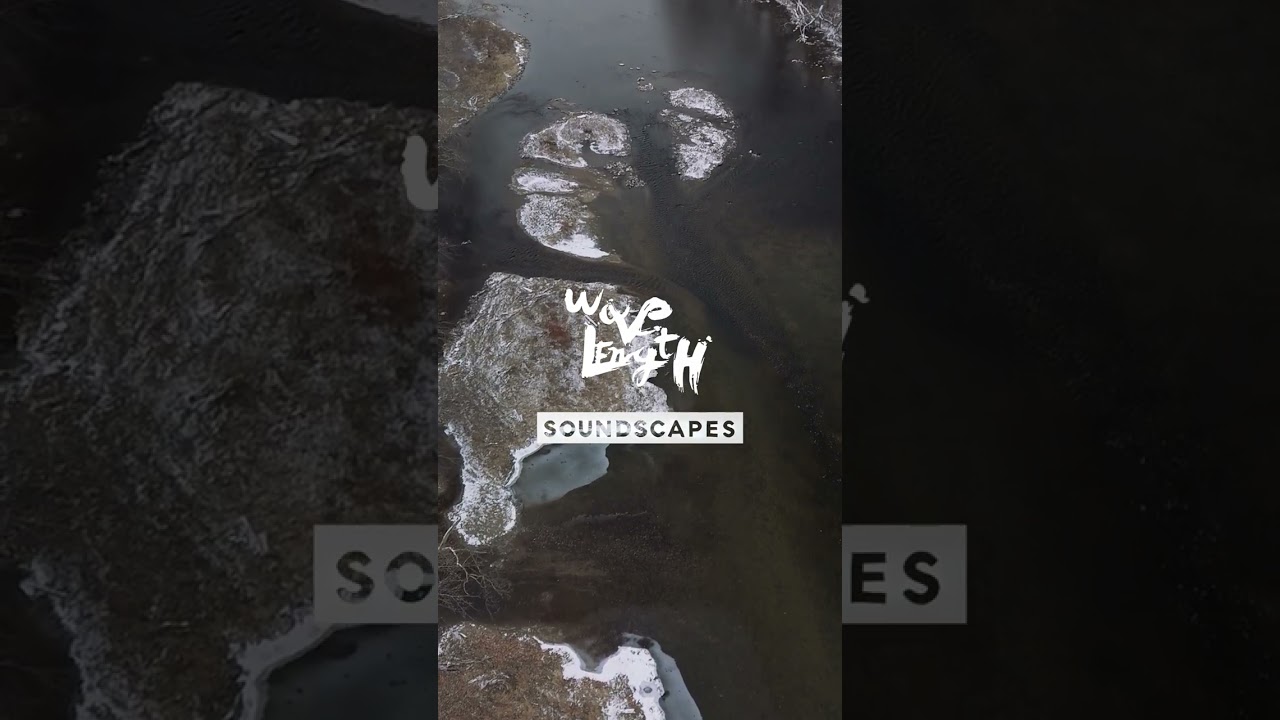 Wavelength Soundscapes | Frozen Serenity