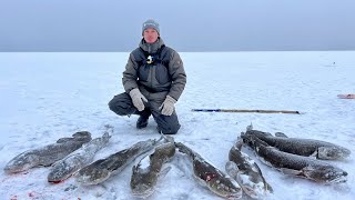 видео: ЧЁРНЫЕ МОНСТРЫ И ШОКИРУЮЩИЕ ПОИМКИ НА РЕКЕ ЛЕНА! Думал так не бывает! Зимняя рыбалка на жерлицы . картинка: ЧЁРНЫЕ МОНСТРЫ И ШОКИРУЮЩИЕ ПОИМКИ НА РЕКЕ ЛЕНА! Думал так не бывает! Зимняя рыбалка на жерлицы .