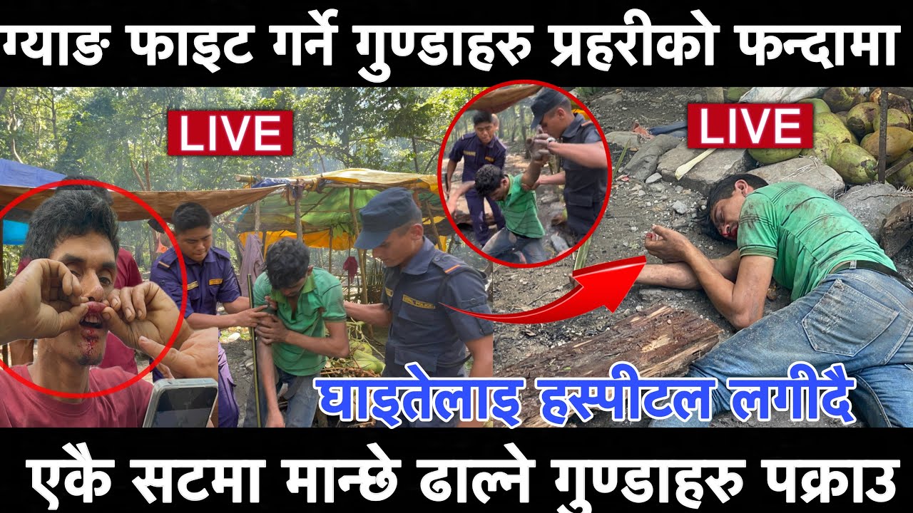 ग्याङ फाइट गर्ने केटाहरु प्रहरीको फन्दामा एकै सटमा मान्छे ढाल्ने गुण्डाहरु पक्राउ घाइतेलाइ उपचार