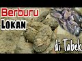 Berburu Lokan di Tabek/Kolam