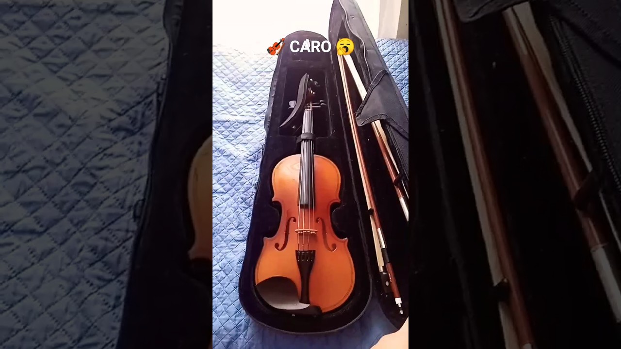 Diferencias de un violín (Caro y Barato )🤑👌🏻 