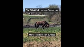 She Didn’t Kick Her—She Taught Her: What Dyana’s Behavior Says About Raising a Future Leader