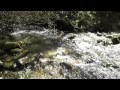 Suono di un RUSCELLO / Relaxing Sounds of Water Stream