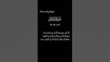 القرآن الكريم  - سورة غافر  - الآيتين 64 , 65