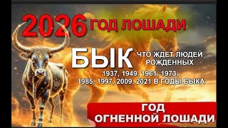 ГОРОСКОП на 2026 ДЛЯ РОЖДЕННЫХ В ГОД #БЫКА  #2033  #2021 #2009 #1997 #1985 #1973 #1961 #1949 #1937