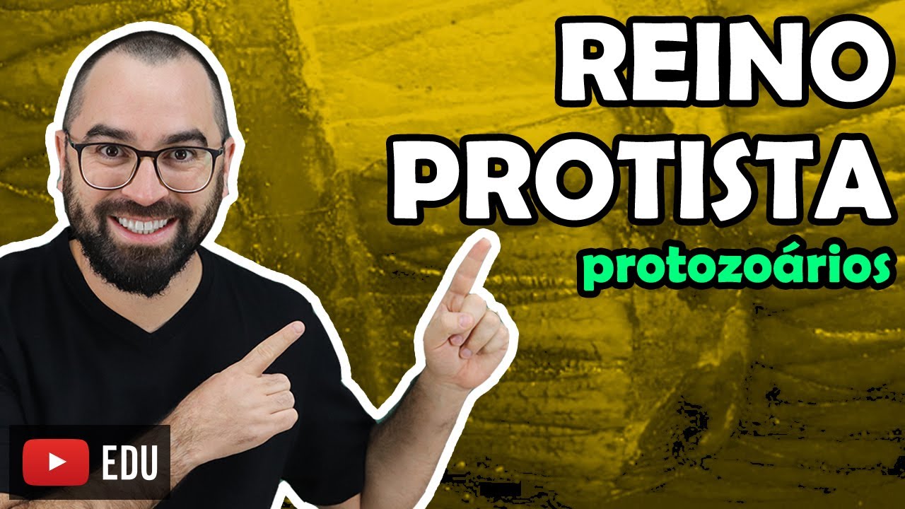 Reino Protoctista: Protozoários - Aula 13 - Módulo IV: Microbiologia, Fungos e Protistas | Prof Gui