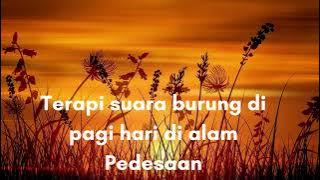 TERAPI SUARA BURUNG  PAGI HARI DI ALAM PEDESAAN