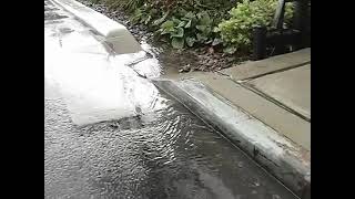 NYC DEP bio swale tree pit in the rain