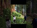 ПРИРУЧЕНИЕ ГИГАНТОПИТЕКА В ARK ULTIMATE MOBILE EDITION Арк мобайл мемы #shorts #ark #arkmobile
