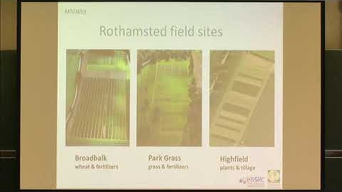 Digging into the soil metagenome