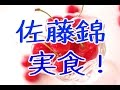 佐藤錦通販。さくらんぼの実食！1kgバラ詰め山形産を販売。Sato Nishiki Japanese cherry