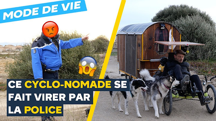 Max s'est construit un vélo-roulotte pour faire le tour de France avec ses 2 chiens