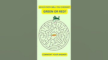 Only 10% can solve this maze in under 5 seconds! #maze #mazechallenge #catmaze