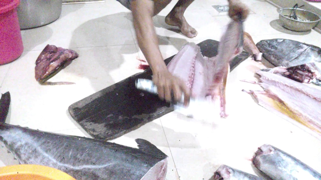 Ikan tenggiri fillet - YouTube