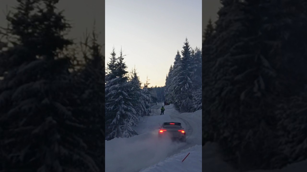 Skoda Fabia rally R5 