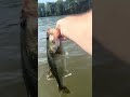 Coosa River is on! #fishing #outdoors #hunting #bassfishing #nature