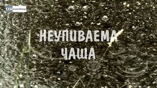 видео: Документалният филм „Неупиваема чаша“ картинка: Документалният филм „Неупиваема чаша“
