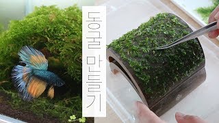 [SUB] 베타 집 만들기 | 동굴 만들기 | 미니삼각모스 | Betta Fish House | Vesicularia moss [ENG]