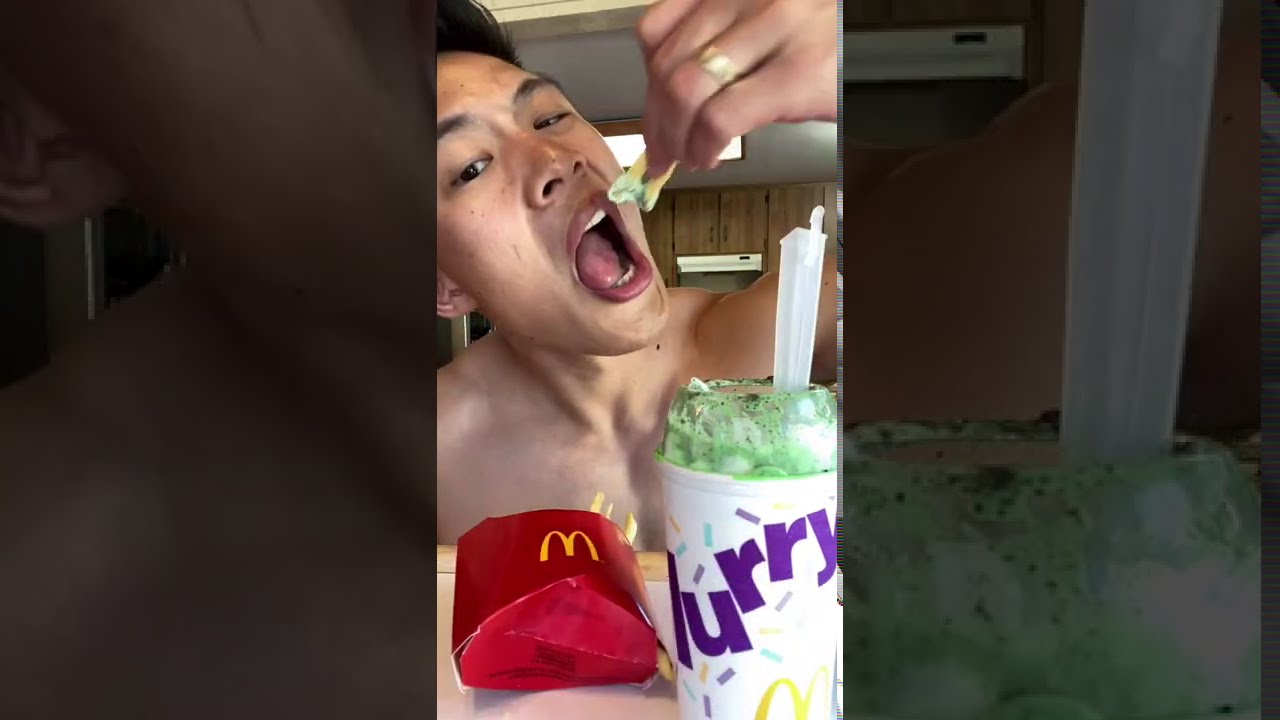 McDonalds fries dipped in Mint Chip McFlurry 