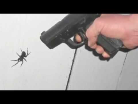 ✅Можно ли убивать пауков в Исламе ? |RUS|
