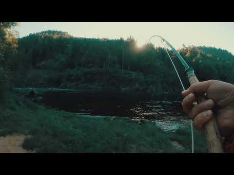 Video: Kolmule Fisk Solyanka