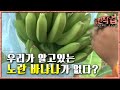 극한직업 - Extreme JOB_필리핀 바나나 농장_#001