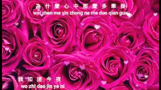 Download Lagu Shi luo de mei gui hua {失落的玫瑰花} karaoke no vocal 伴奏 female MP3
