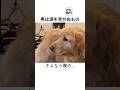 男は涙を 見せぬもの