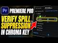 How to verify spill suppression for chroma key in Premiere Pro - Beginner Guide